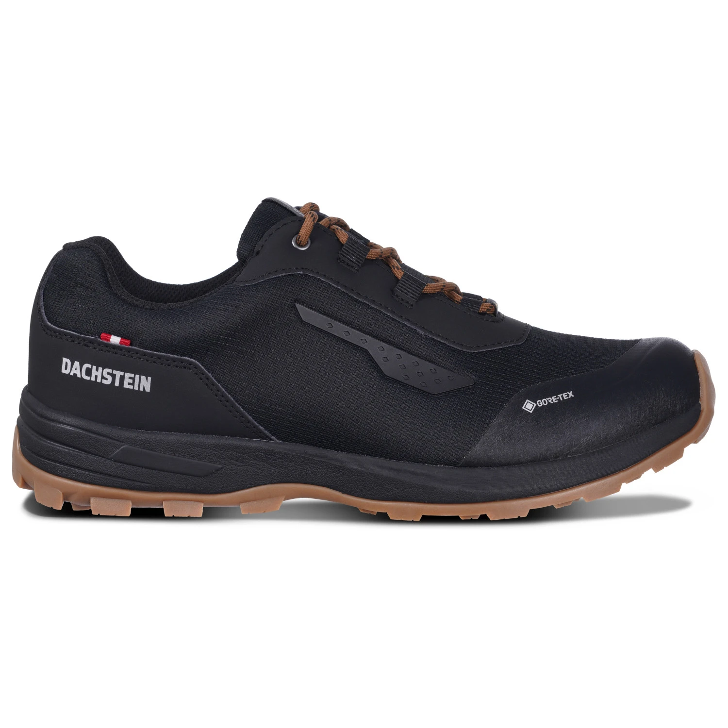 Dachstein Delta Rise 3.0 GTX - Multisport Shoes 3 Dachstein Delta Rise 3.0 GTX - Multisport Shoes