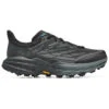 Hoka Speedgoat 5 GTX Spike - Trail Running Shoes -ALPINE TREK SHOES hoka speedgoat 5 gtx spike trail running shoes